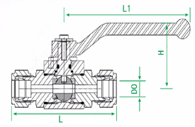 Q91N high pressure ferrule ball valve